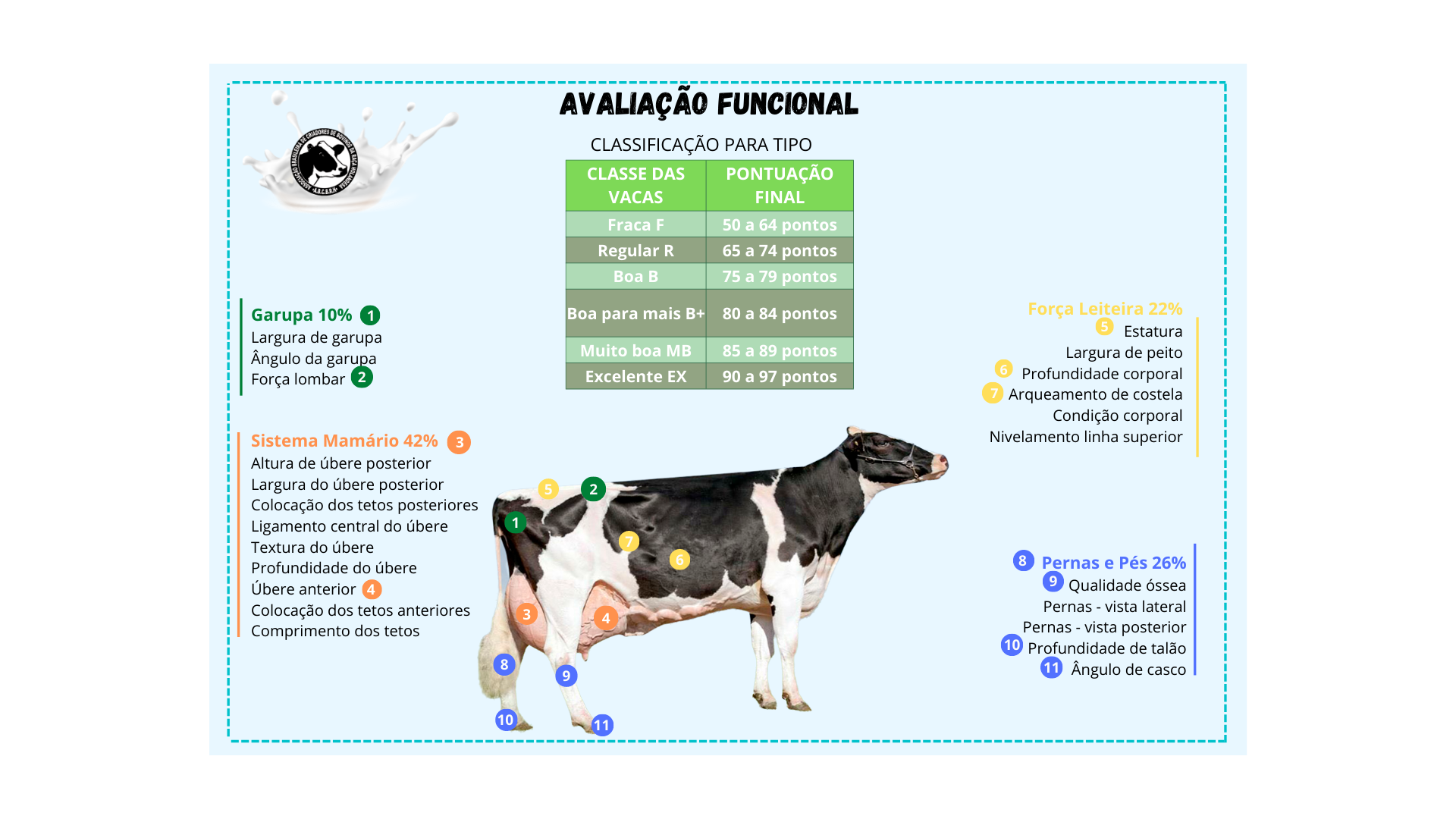 AVALIAÇÃO FUNCIONAL (2)