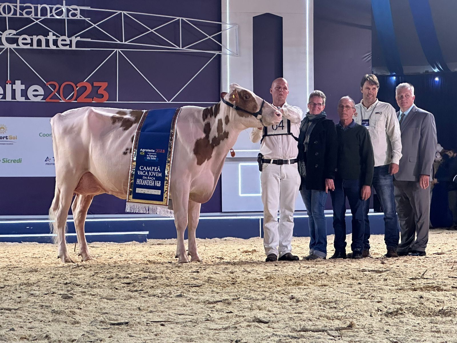 Campe&atilde; Vaca Jovem VB