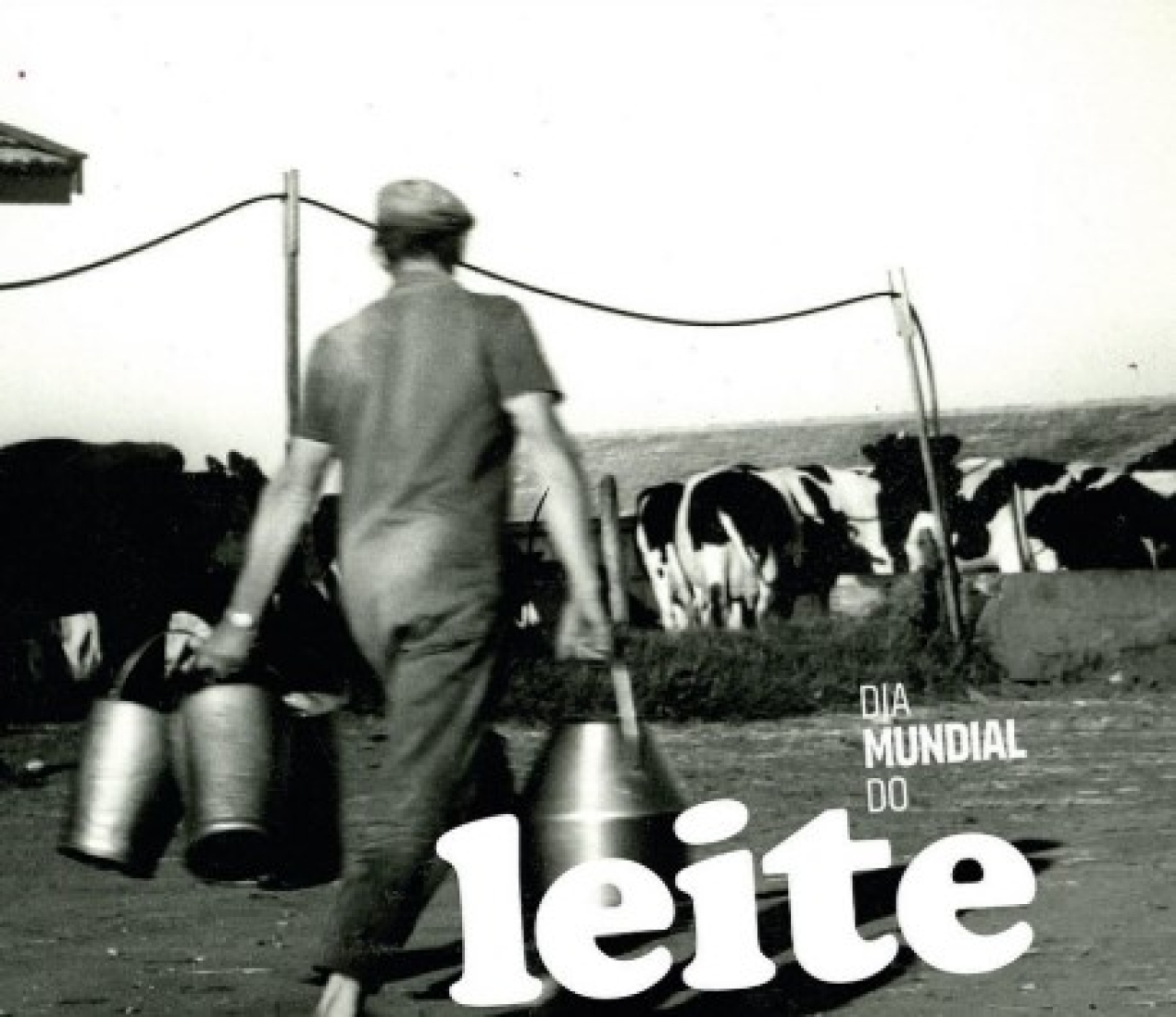 01 de junho dia mundial do leite