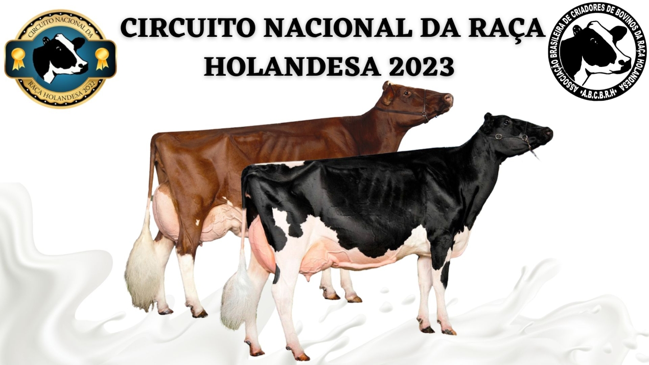 circuito nacional da raça holandesa