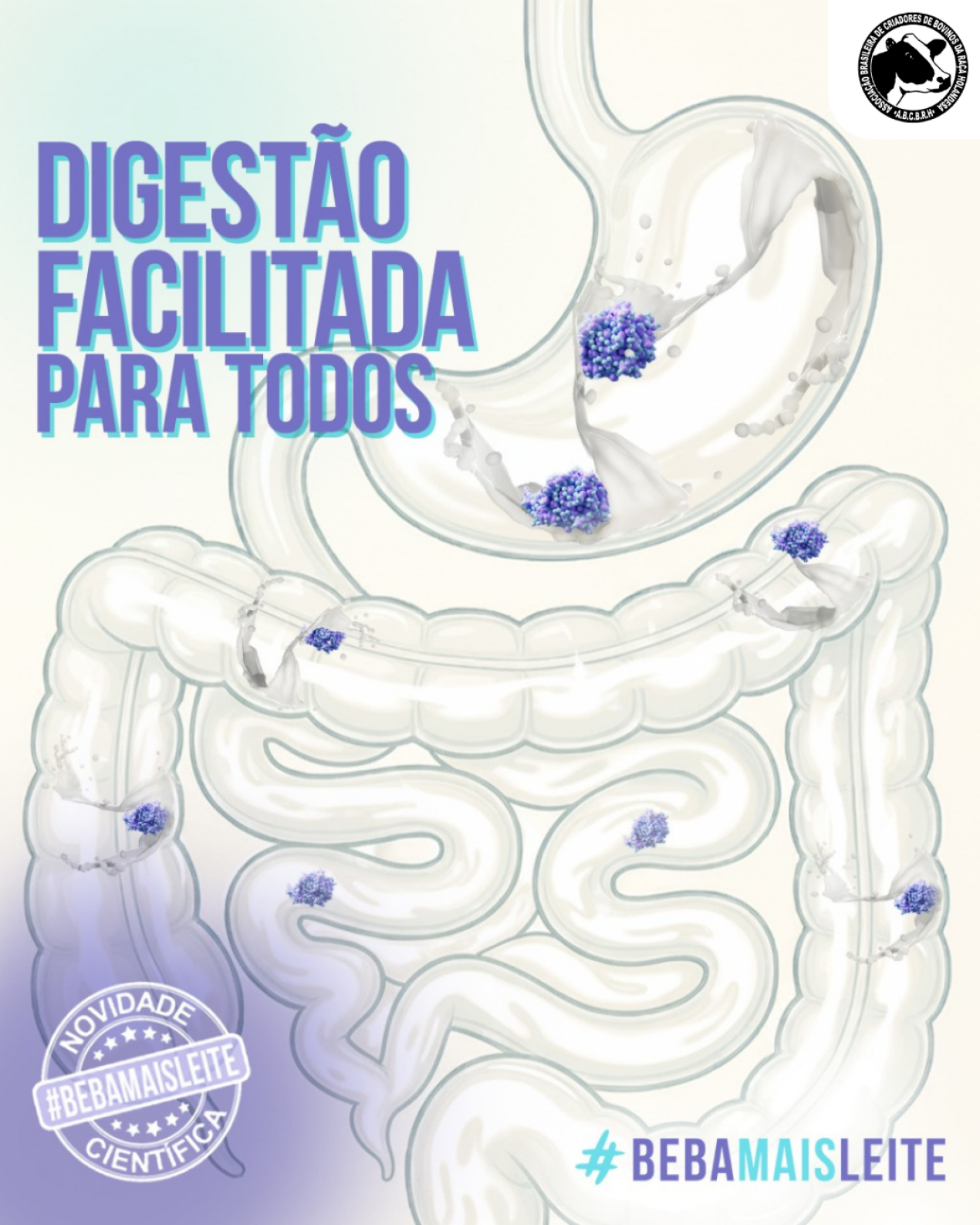 DIGESTÃO FACILITADA PARA TODOS