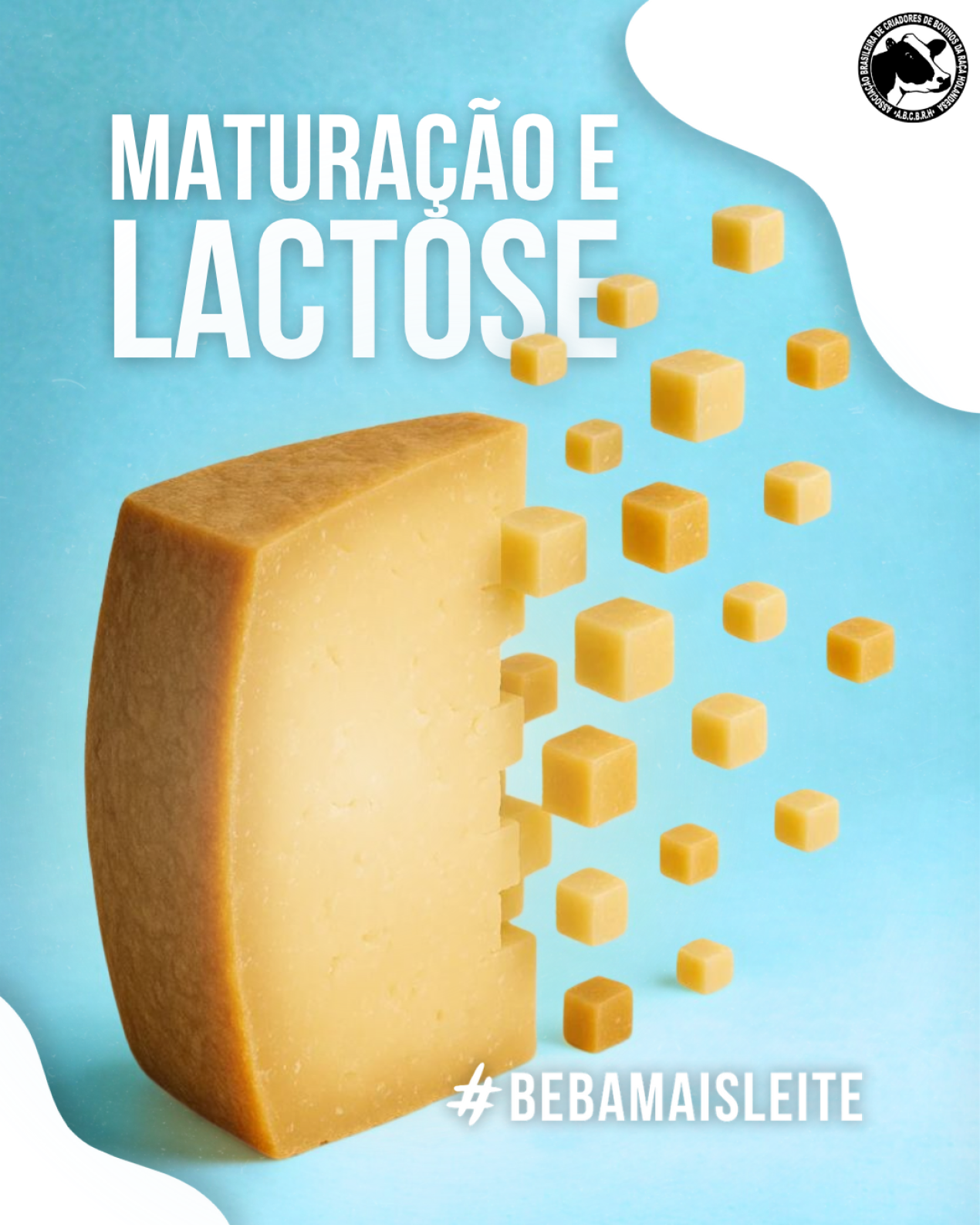 MATURAÇÃO E LACTOSE