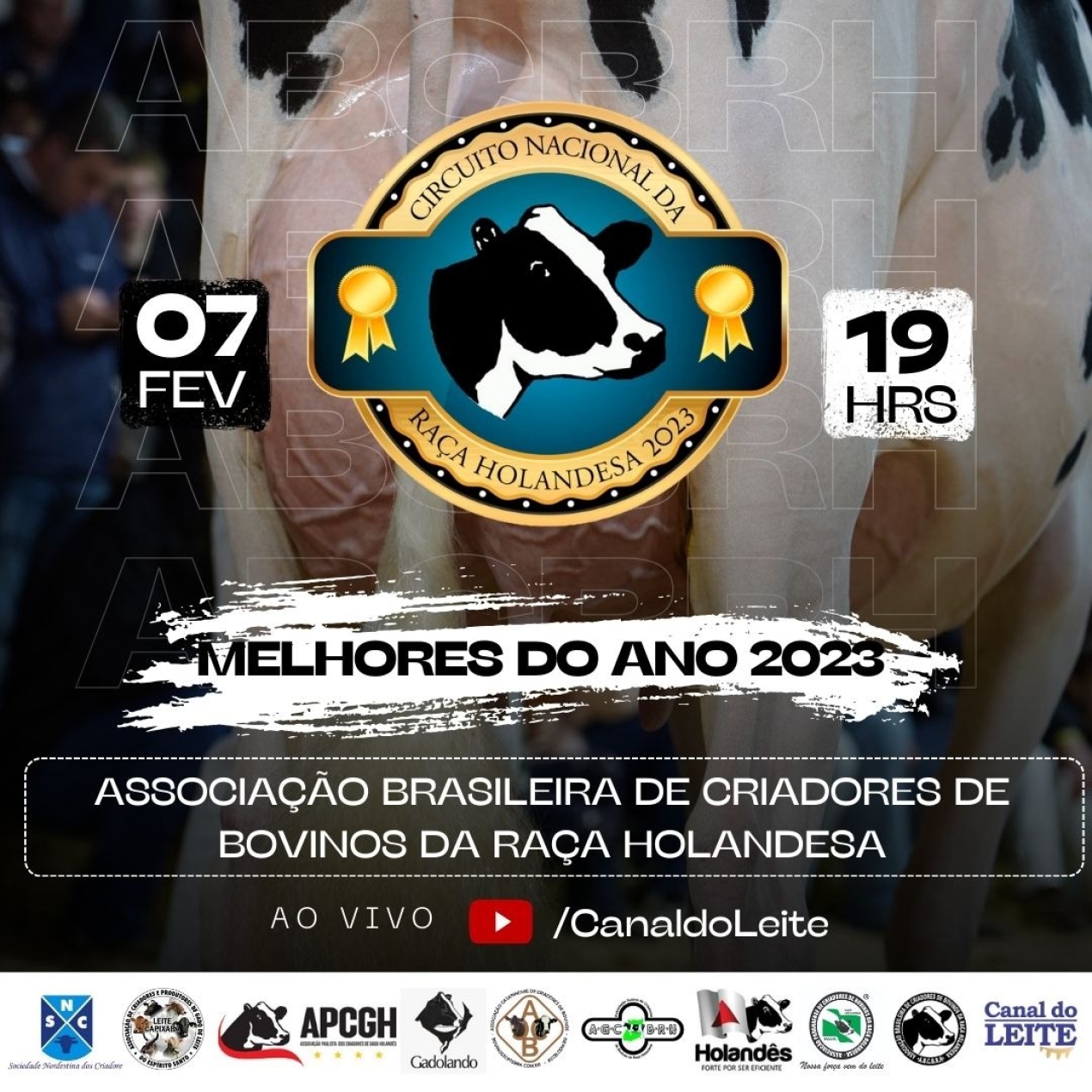 MELHORES DO ANO 2023