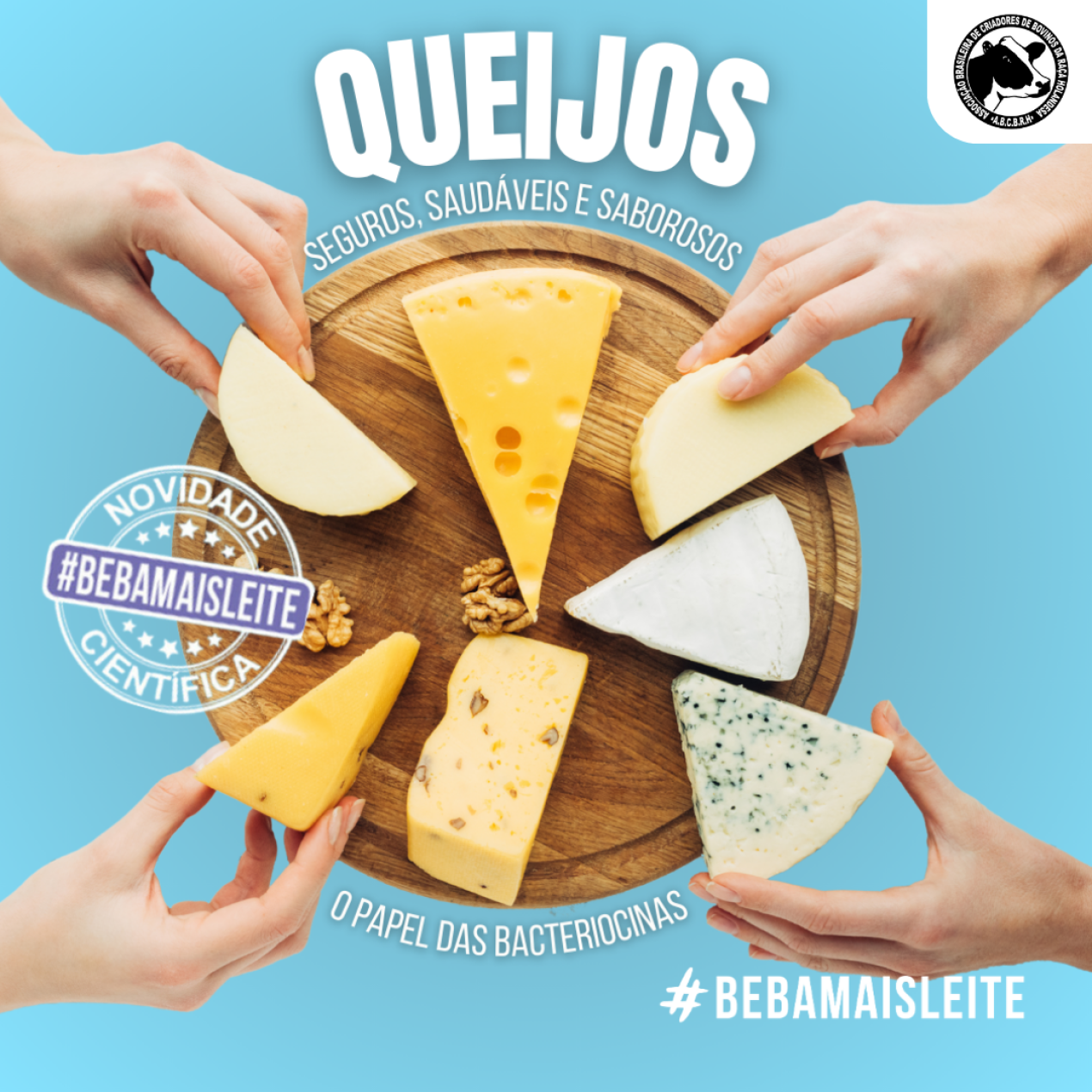 QUEIJOS