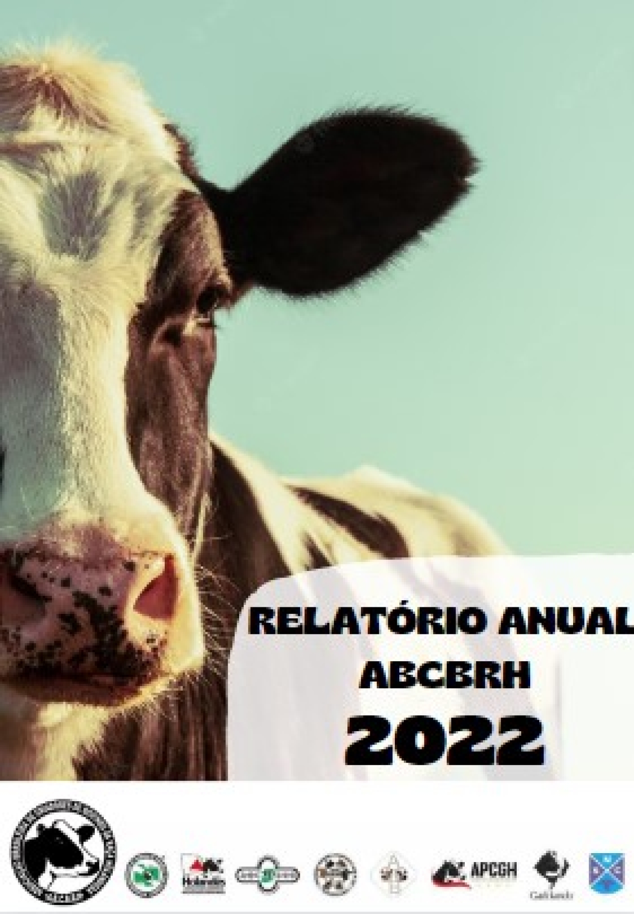 relatório anual ABCBRH 2022