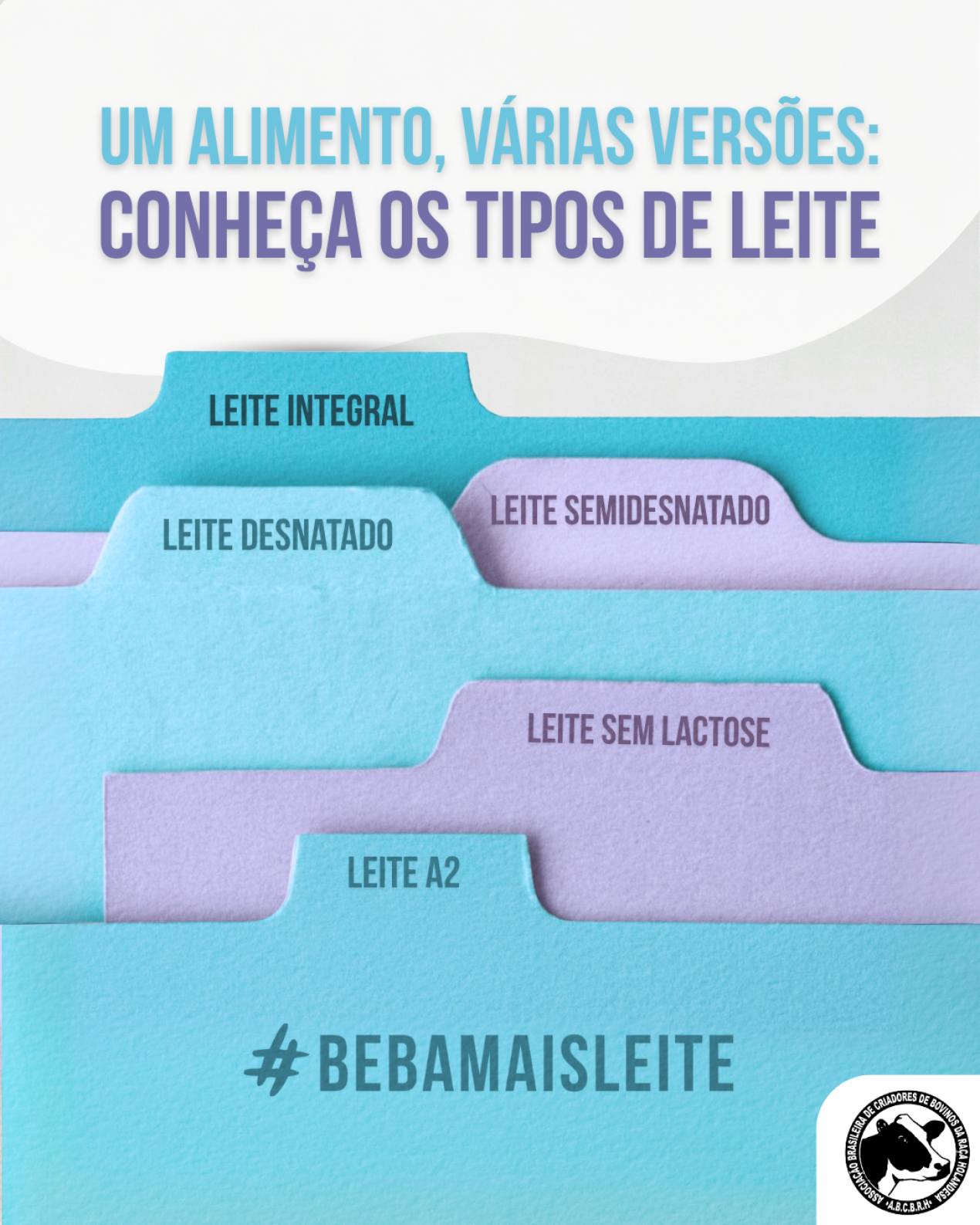 TIPOS DE LEITE