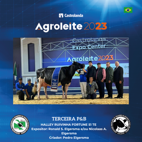 Celebrando o Sucesso: Agradecimento a Todos os Envolvidos na Casa da Raça Holandesa 2023