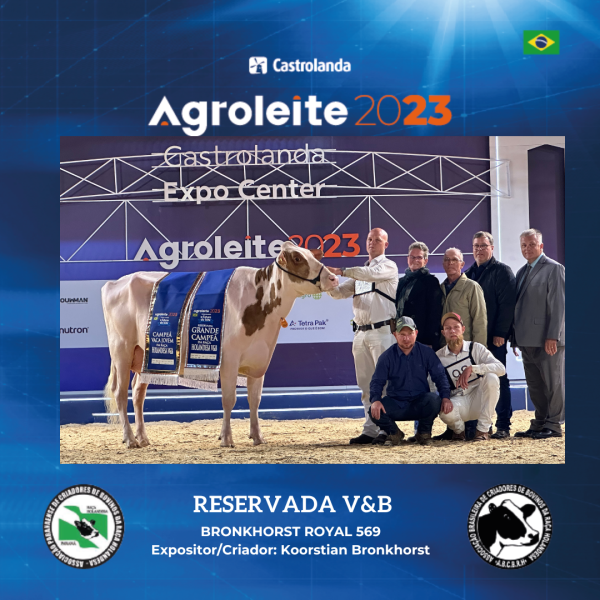 Celebrando o Sucesso: Agradecimento a Todos os Envolvidos na Casa da Raça Holandesa 2023