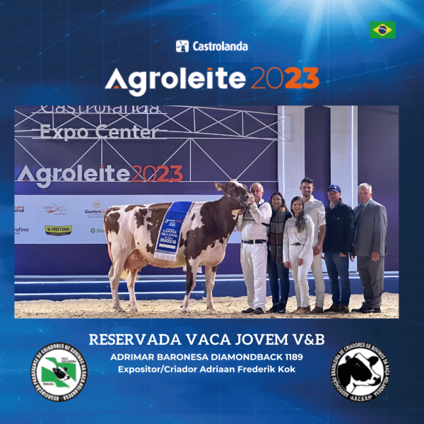 Celebrando o Sucesso: Agradecimento a Todos os Envolvidos na Casa da Raça Holandesa 2023