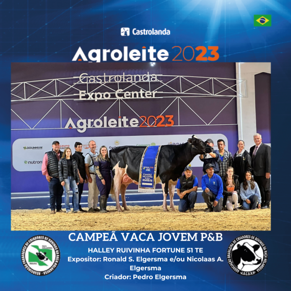 Celebrando o Sucesso: Agradecimento a Todos os Envolvidos na Casa da Raça Holandesa 2023