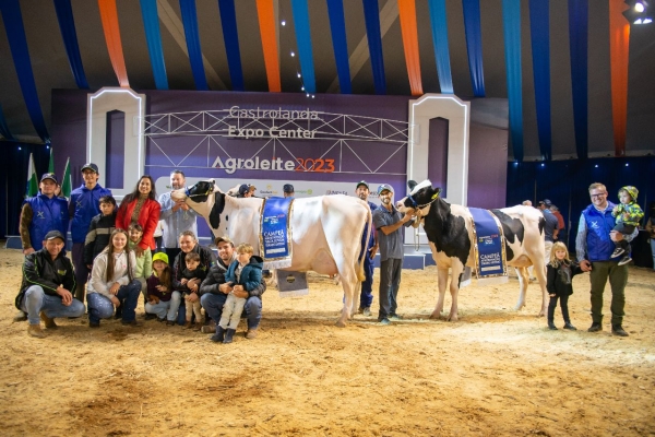 Celebração de Excelência e Dedicação: Parabéns aos Vencedores do Torneio Leiteiro da Agroleite 2023